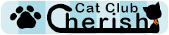 譲渡型保護猫カフェCatClubCherish